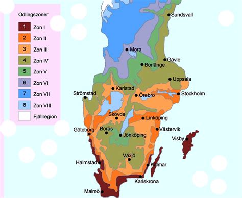 Växtzon 3